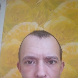  , , 41  -  28  2024