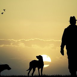 ������, ������������, 55 ���