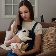 �����, 36 ���, ������������