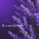 ���� ������� !, ������ - ��������� 23 ������ 2026 � ������ ������ ��������