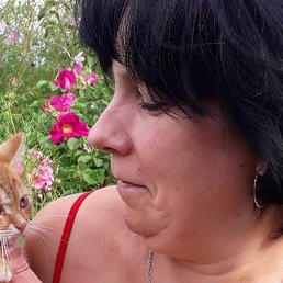 �������, ������, 52 ����