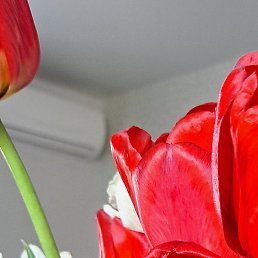 �������, �����, 34 ����