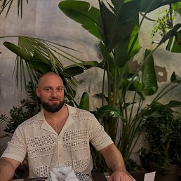 �������, 37 ���, ������ ��������