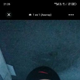 , 31 , 