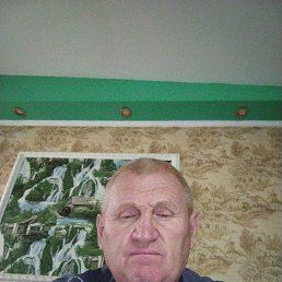 , 61, 