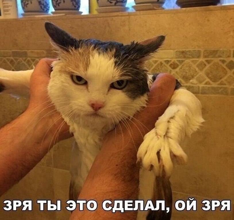 ? ,  ! - 9  2025  22:39