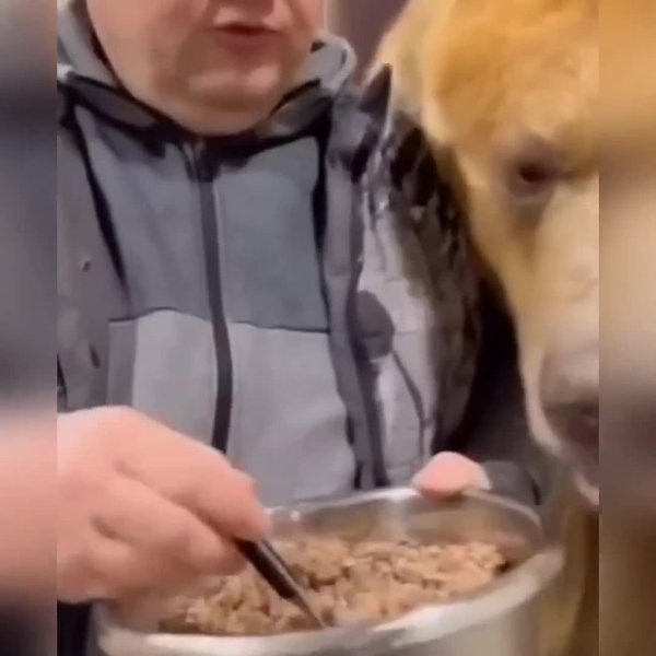 ca aa, a pa o oee 10 e. 