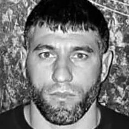 ������, �������, 41 ���