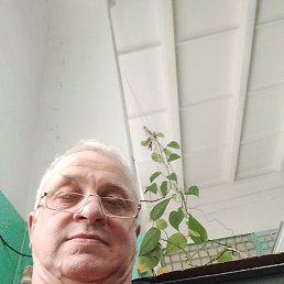 �����, ���������, 61 ���