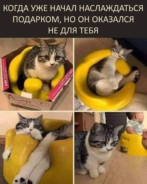   - 15  2024  21:42