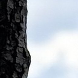 ������, �����-���������, 35 ���