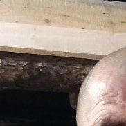 , 51 , 