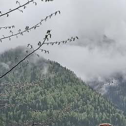 �������, ������ ��������, 51 ���