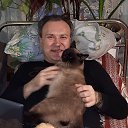 ���� ������, �������, 50 ��� - ��������� 4 ������� 2025