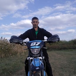 , 39, 