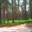 ���� �������, �����-��������� - ��������� 25 ���� 2026 � ������ ���� ����������