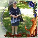 ���� ����, ������� - ��������� 17 ������� 2026 � ������ ���� ����������