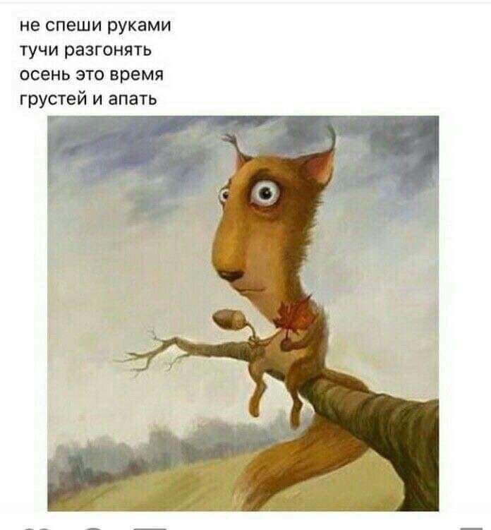   - 25  2025  17:56