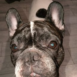 ����, ���������, 37 ���