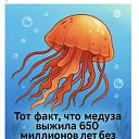 ���� �����, �����-���������, 61 ��� - ��������� 21 �������� 2025 � ������ �������