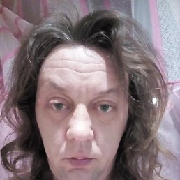 ���� �������, ��������, 41 ��� - ��������� 24 ����� 2026