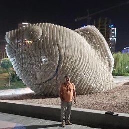Demr, �������, 50 ���
