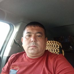 ���� ������� ������, �������, 40 ��� - ��������� 16 ������ 2025