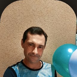 ������, 39 ���, ���������