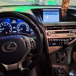 ����, ������-��-����, 42 ����