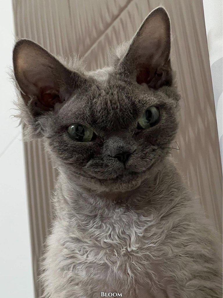  eea, o o o o ae o-o poe aa o aoea pa, oo o ocoo ...