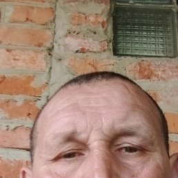 , 45, 