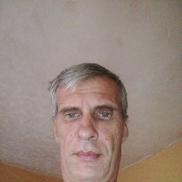 , 48, 