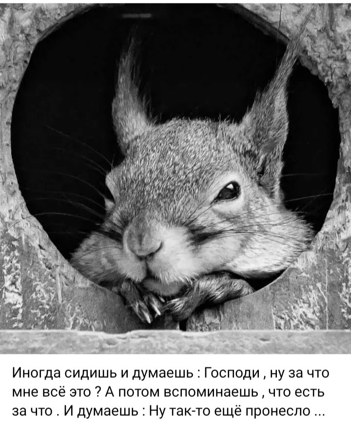 ***Victoria Viktorovna*** - 20  2024  13:01