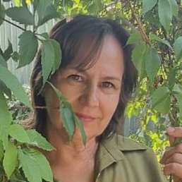 �����, �����������, 66 ���