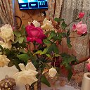 ���� �����, ����, 50 ��� - ��������� 17 ������� 2025 � ������ ���� ����������