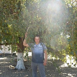 �����, ��������, 37 ���