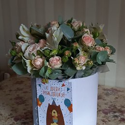 �����, ���, 47 ���