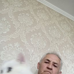 , 64, 