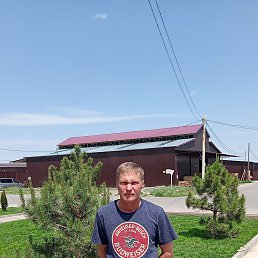 , 49, 