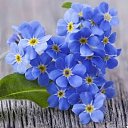 ���� �������, ������-��-���� - ��������� 15 ������� 2026 � ������ ������ ��������