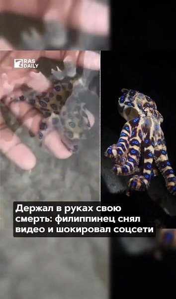 ����� ����������� ������� ���������� �������������. ���������� ������ �� ���������� ������� ���� ...
