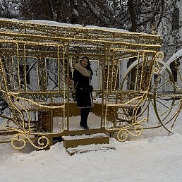 �������, ��������, 51 ���