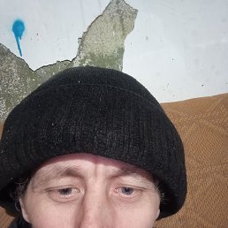 , 40, 