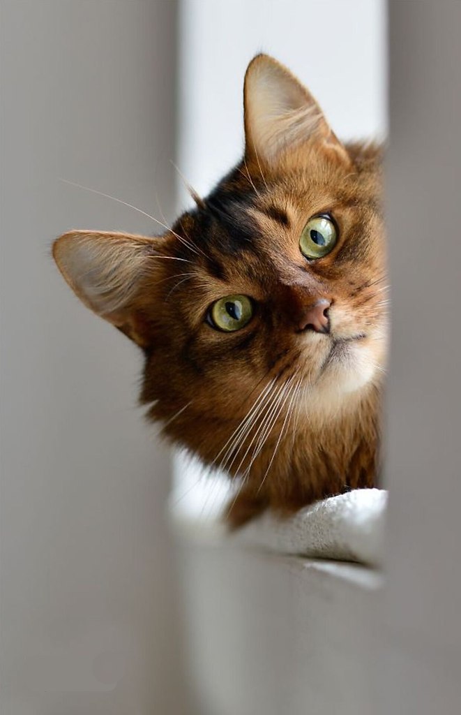     . ,  .  .   ,  , ?!  ...