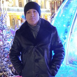 �����, 48 ���, ������ ��������