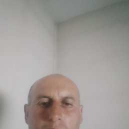, 48, 