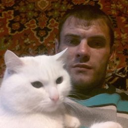 ���� �����, 39 ���, ����