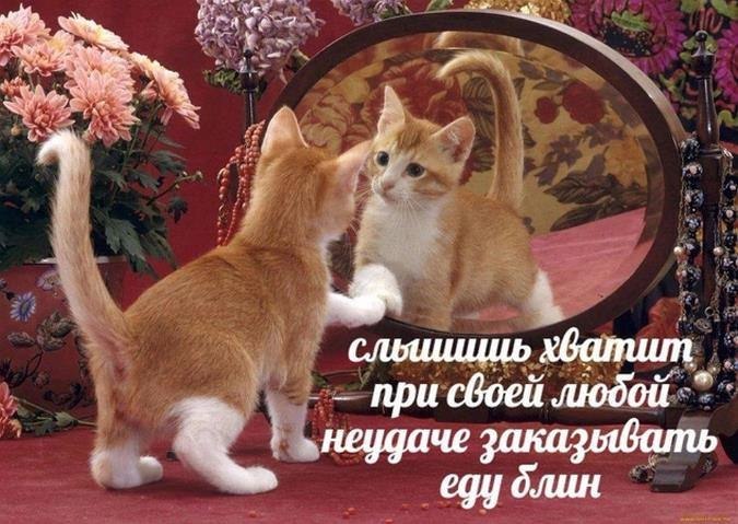    - 9  2024  17:29