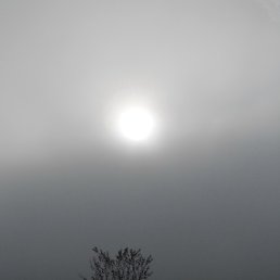 ��������, ���������, 65 ���