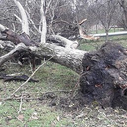 ����, �����, 47 ���